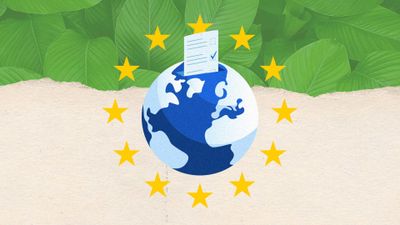 Die Europawahl: wieso sie für das Klima wichtig ist