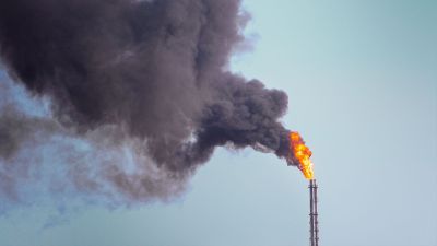 20 Unternehmen sind verantwortlich für ein Drittel aller CO2-Emissionen weltweit. Ecosia wirft einen Blick hinter die Kulissen.