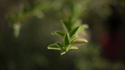 Update zu unserem Projekt in den Usambara-Bergen