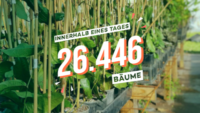 Ihr habt es geschafft. Mit euren Suchanfragen über Ecosia werden 26.446 Bäume in Australien gepflanzt.