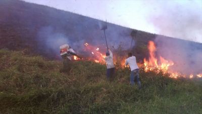 Brasiliens Wälder brennen wieder. So kannst Du helfen