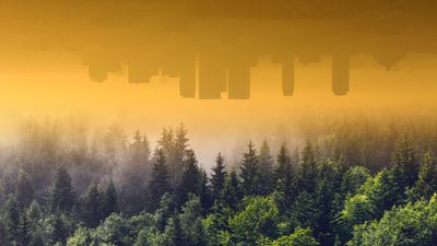 Funktioniert Klimakompensation? Nur, wenn sie richtig eingesetzt wird.