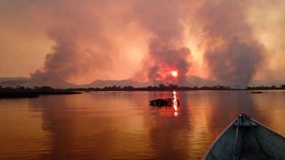 Das weltgrößte Feuchtgebiet brennt: Wie können wir das Pantanal retten?