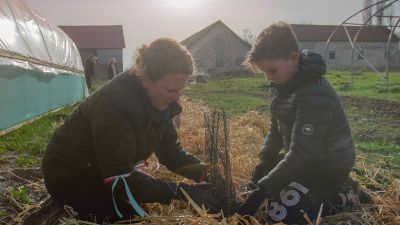 Wie du die Green (New) Deals retten kannst