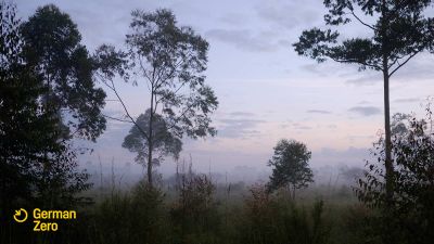 Ecosia präsentiert: GermanZero