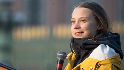 Bringen Klimaproteste etwas?