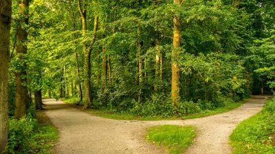 Die Klimawahl ist erst der Anfang