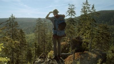 Der Wilde Wald - Natur Natur sein lassen