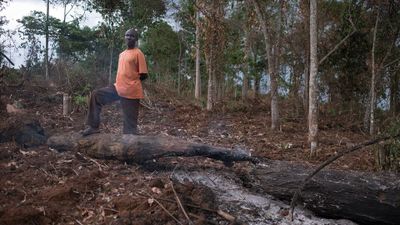 Make Ecocide A Crime