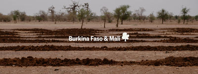 Eure Bäume in Burkina Faso und Mali