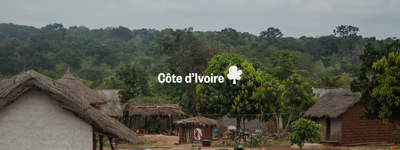 Eure Bäume in der Republik Côte d’Ivoire