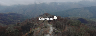 Eure Bäume in Kolumbien