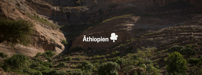 Eure Bäume in Äthiopien