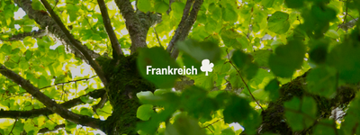 Eure Bäume in Frankreich