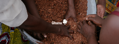 Eure Bäume in Ghana