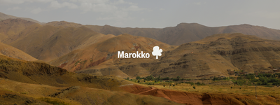 Eure Bäume in Marokko