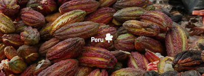 Eure Bäume in Peru