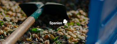 Eure Bäume in Spanien