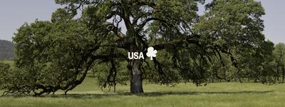 Eure Bäume in den USA