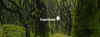 Eure Bäume in Argentinien