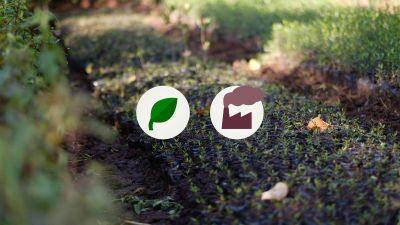 Die grüne Suche – für bessere Entscheidungen