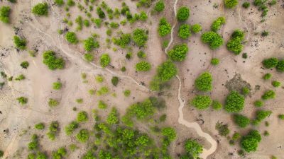 Wir verlieren den besten Hochwasserschutz der Natur – können wir das ändern?