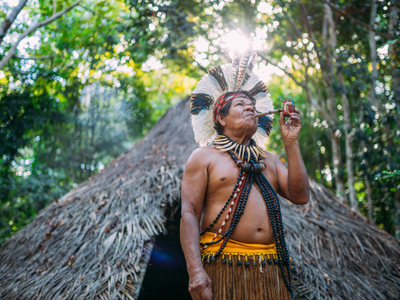 Wie wir uns für den Schutz und die Renaturierung der Wälder Brasiliens einsetzen