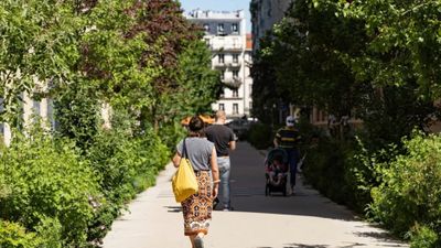 Bäume helfen Städten gegen die Hitze