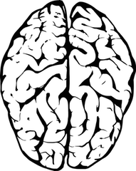 Biais cognitifs et email