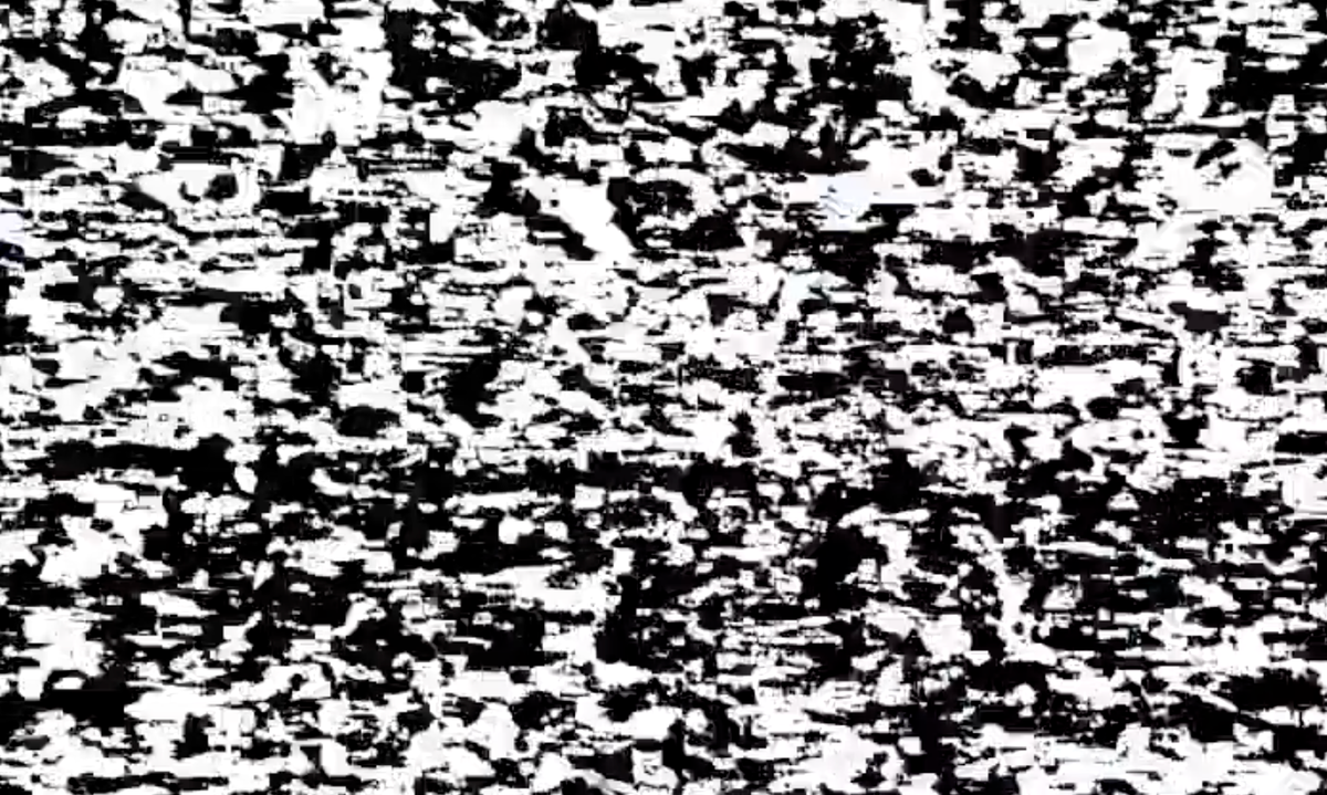 Complete Accuracy Collapse