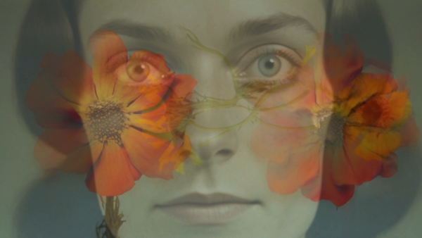 A Brief History of Static