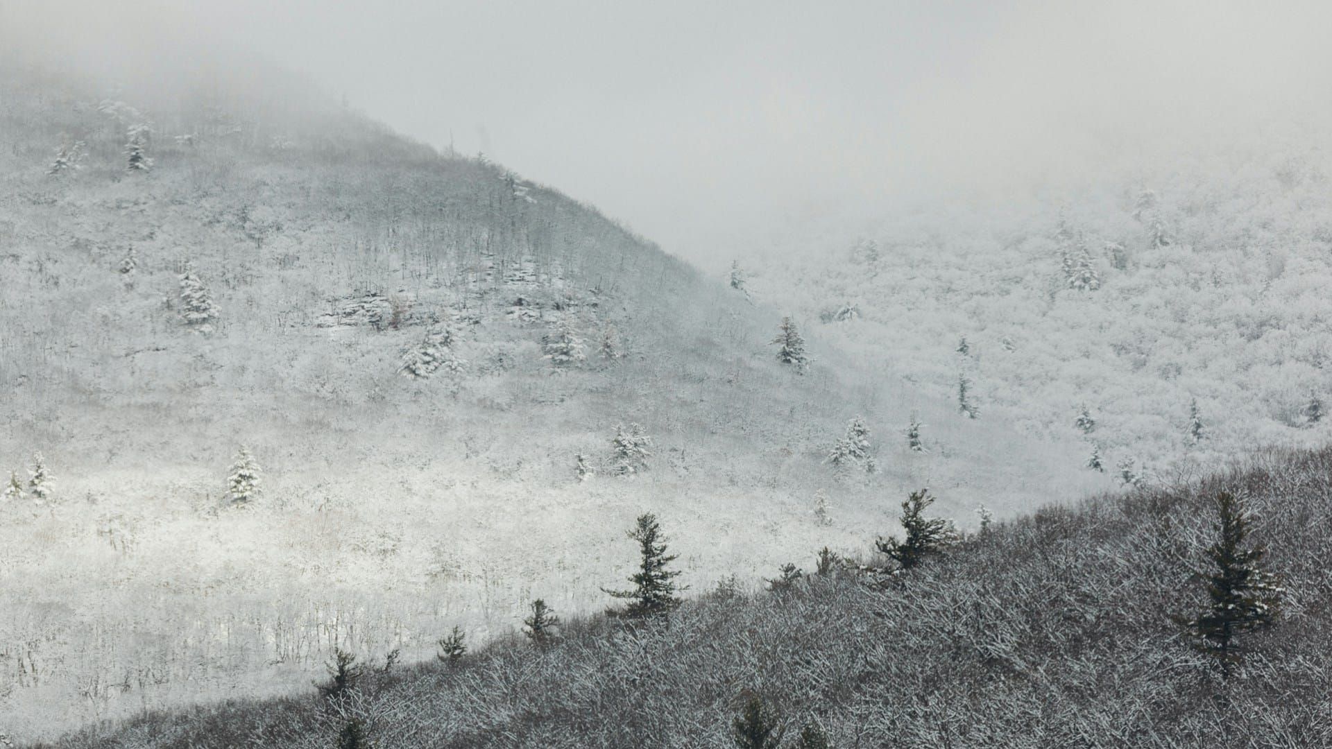 Something Wild #5: Lost Places