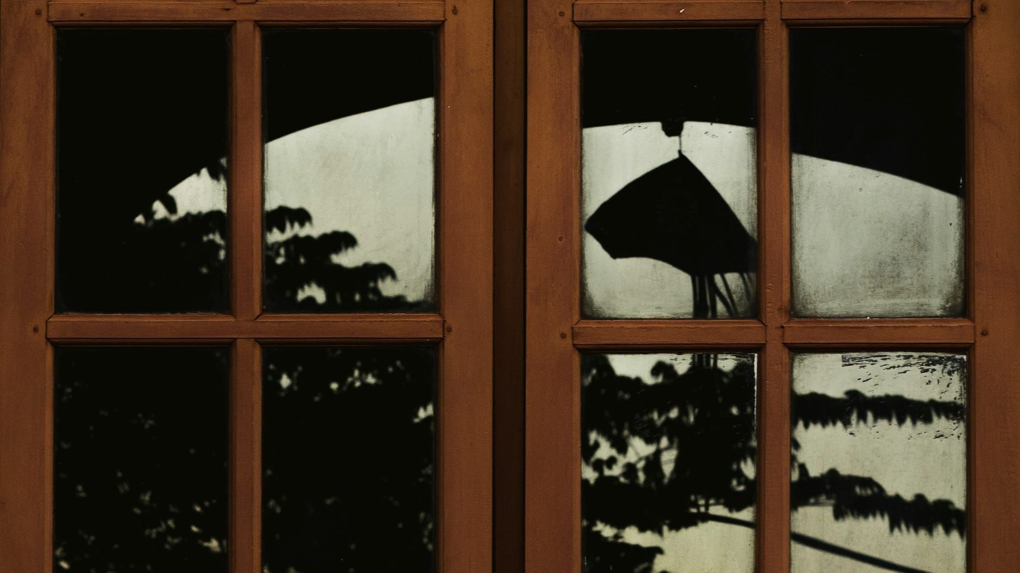 Writing Prompt #8: Fools and Flaws