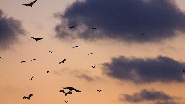 The Book I'm Afraid to Write