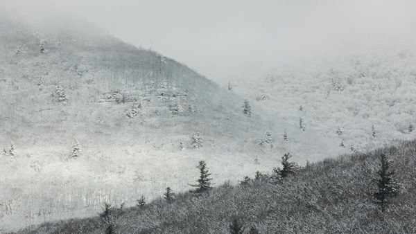 Something Wild #5: Lost Places