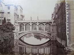 My year at Cambridge 