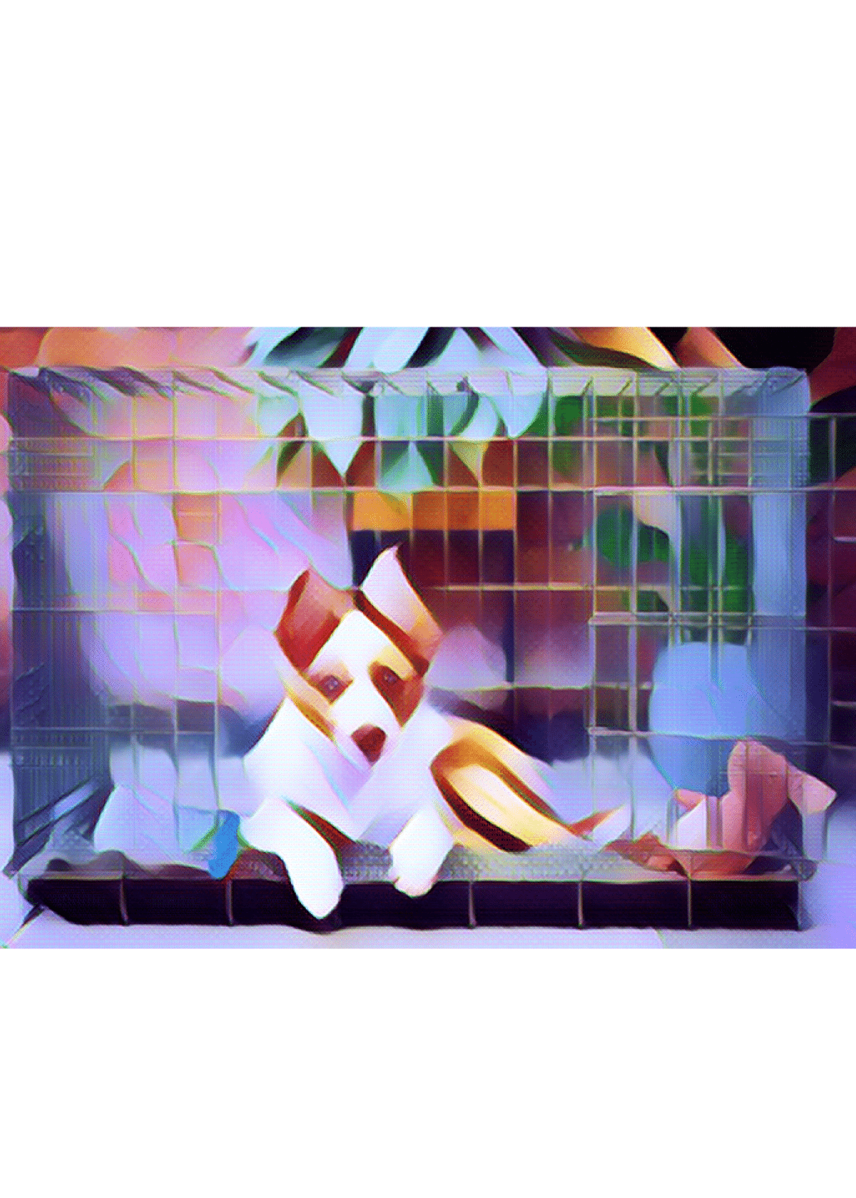 Best Indoor Dog Kennel