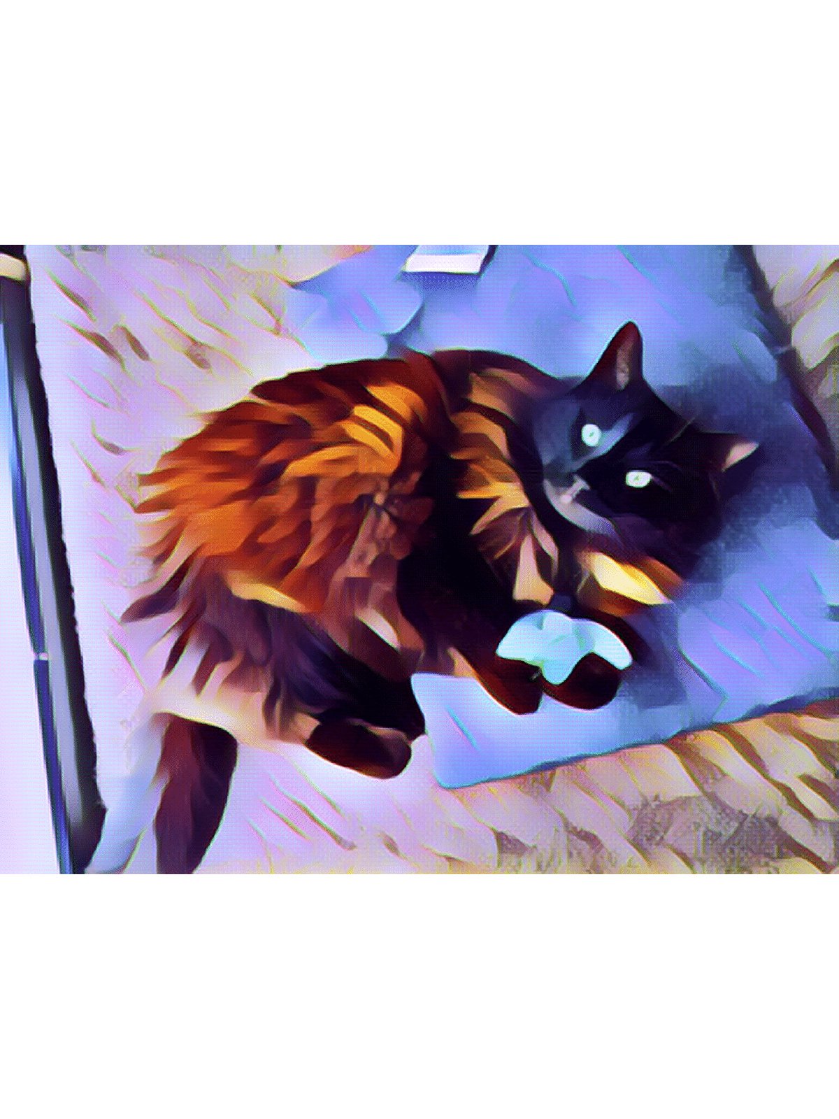 Best Cat Litter Mat