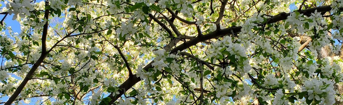 About Both/And Finance