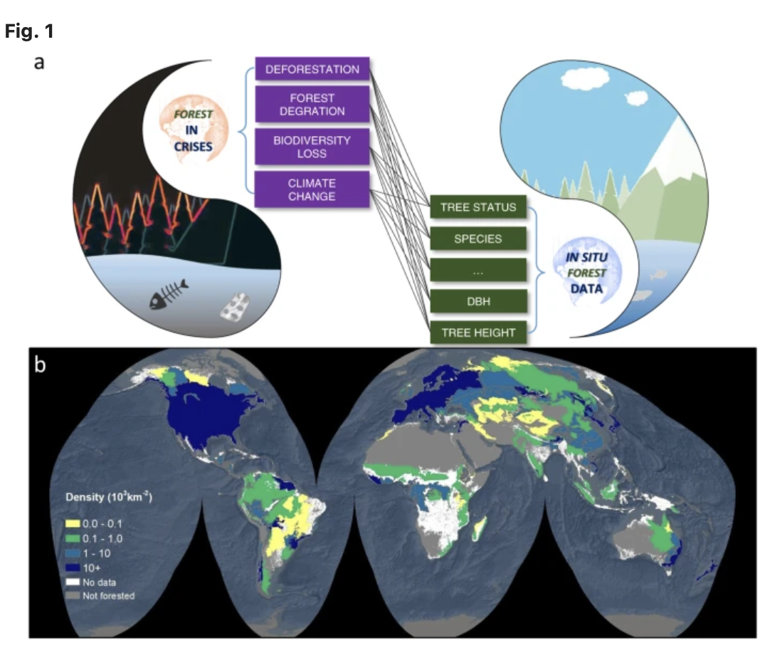 Source: Liang, J., Gamarra, J.G.P. The importance of sharing global forest data in a world of crises. Sci Data 7, 424 (2020). https://doi.org/10.1038/s41597-020-00766-x