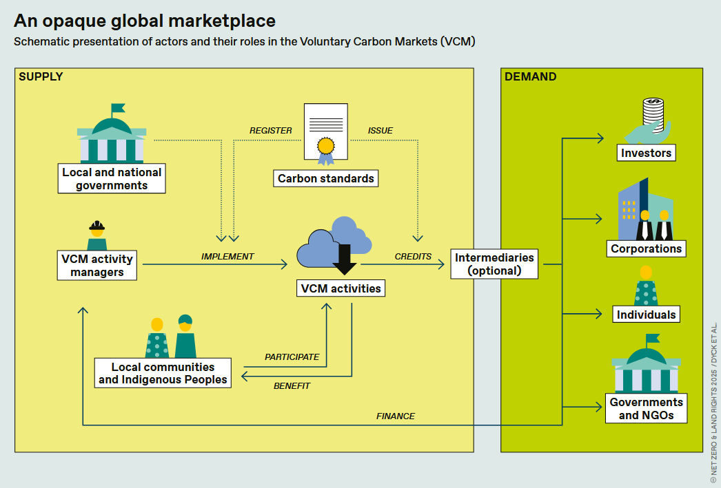 Infographic on carbon markets. 