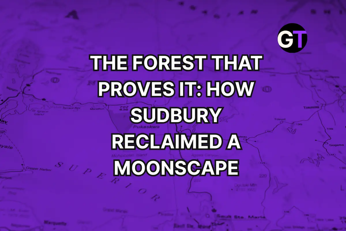 The Forest That Proves It: How Sudbury Reclaimed a Moonscape