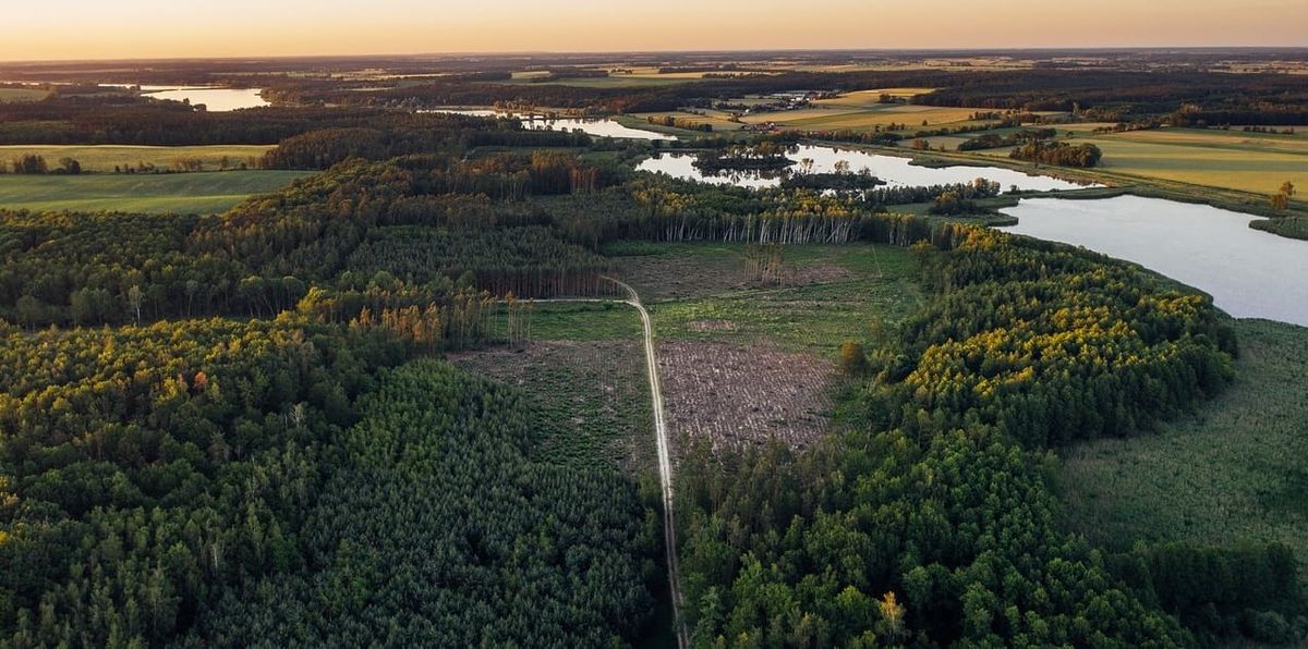 Aerial image of forest cut blocks at varying years of growth