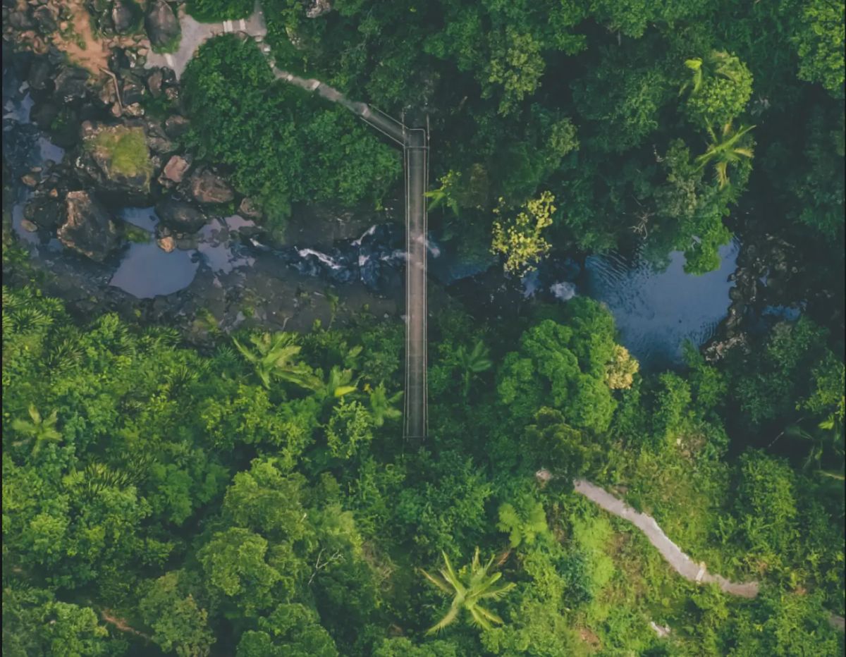 Top down drone shot of bridge over water in Queensland. 
