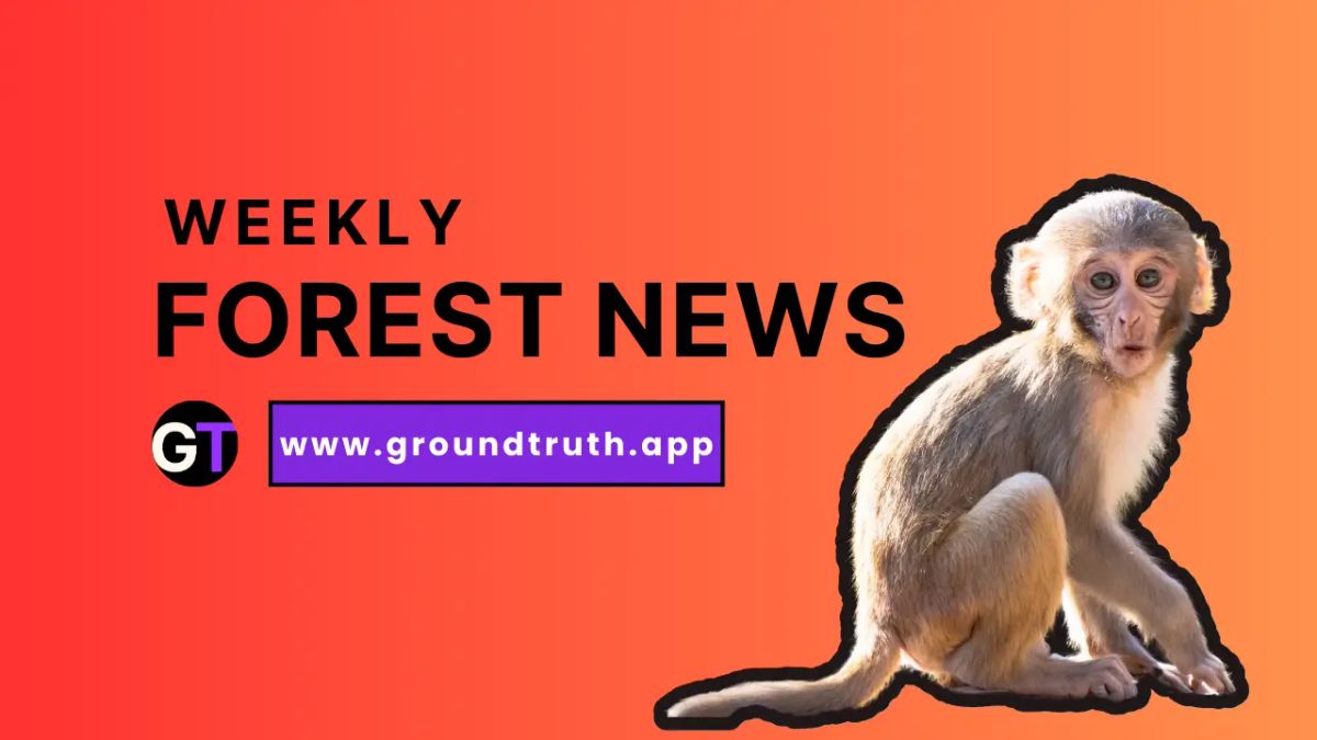 Weekly Forest News, April 4