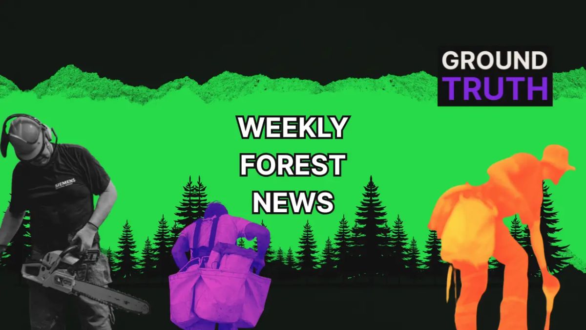 Title on green background with images of forestry workers. 