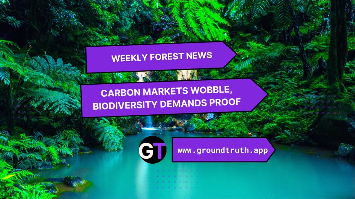 Carbon Markets Wobble, Biodiversity Demands Proof