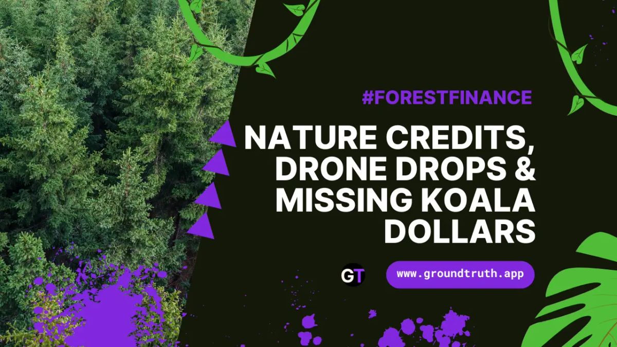 Title on black background with forest image and purple/green cartoon imagery. 