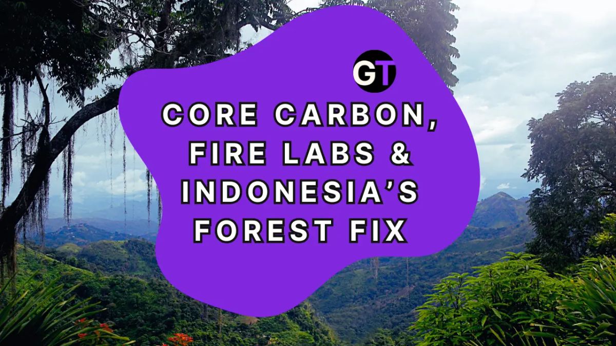 Title on purple shape on rainforest bckground. 