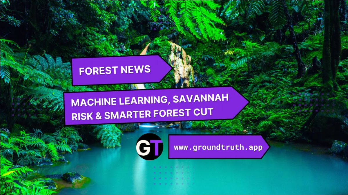 Title on rainforest background with purple signs. 